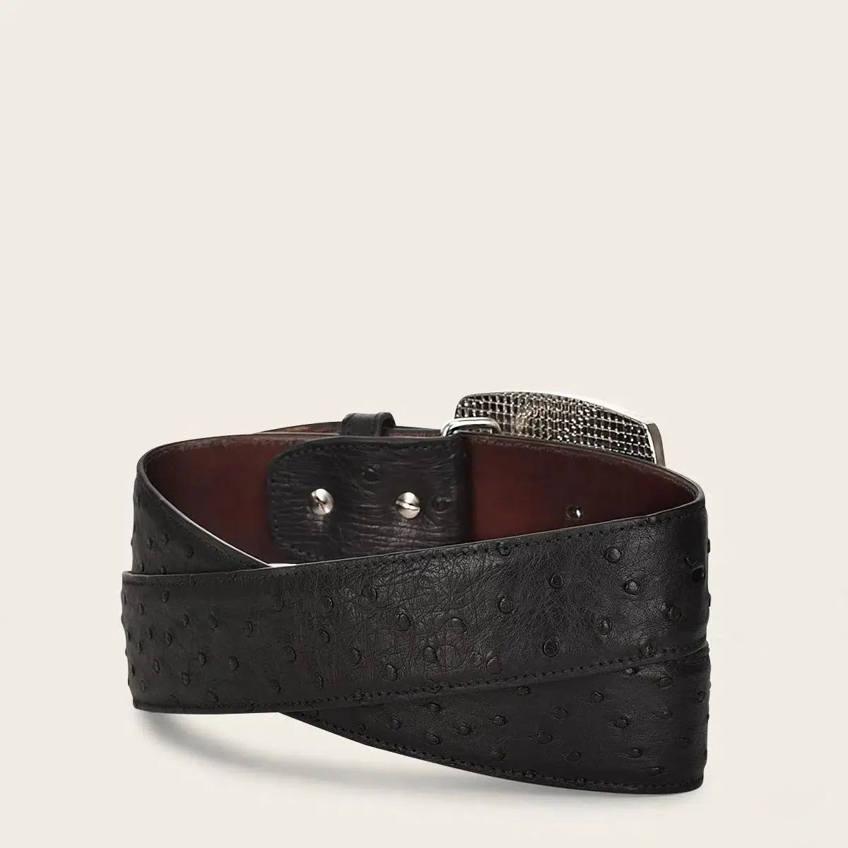 CV499A1 - Cuadra black western fashion Ostrich belt for men